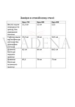 Weiyesi-8171B (1) (1)